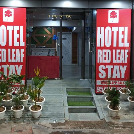 Red Leaf Stay Νέο Δελχί Εξωτερικό φωτογραφία