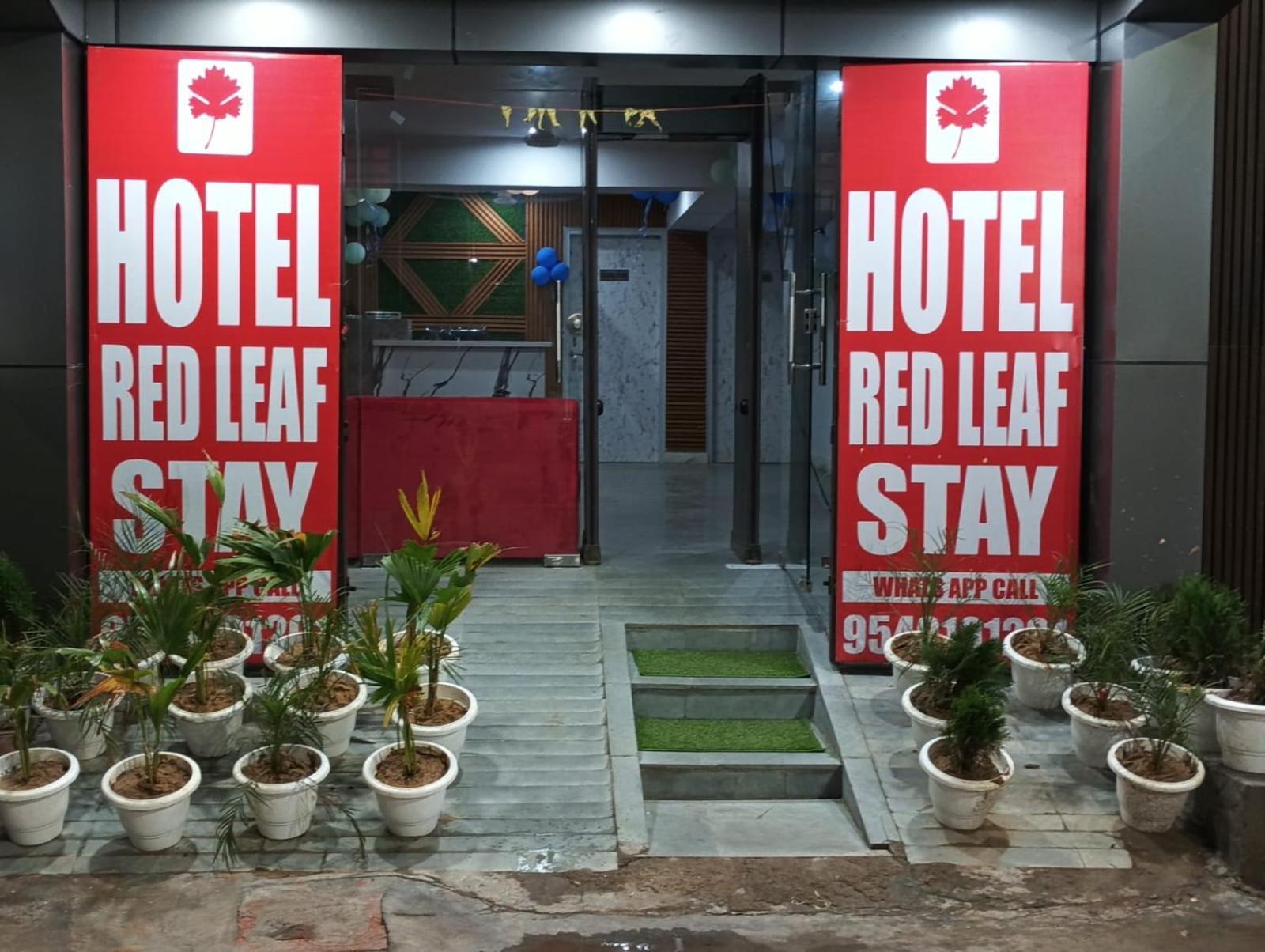 Red Leaf Stay Νέο Δελχί Εξωτερικό φωτογραφία